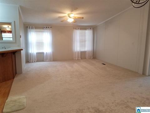 220 Steele Gap Rd, Steele, AL 35987 photo 4