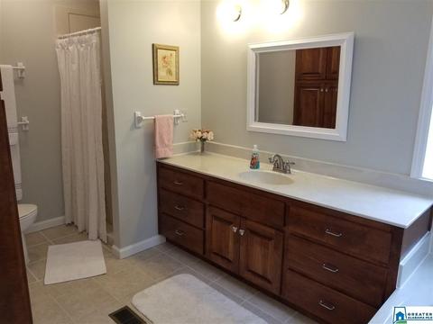 220 Steele Gap Rd, Steele, AL 35987 photo 11