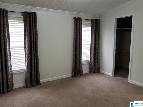 220 Steele Gap Rd, Steele, AL 35987 photo 14