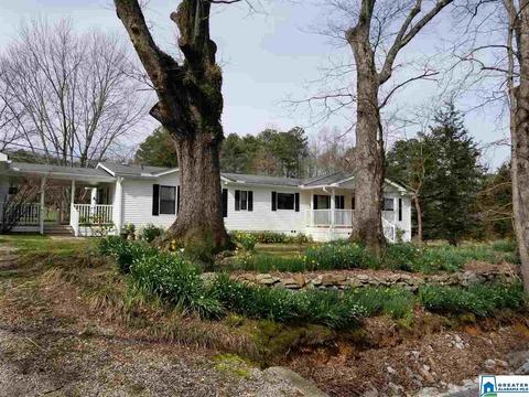 220 Steele Gap Rd, Steele, AL 35987 photo 22