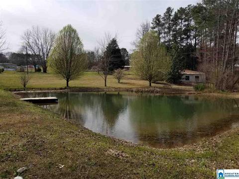 220 Steele Gap Rd, Steele, AL 35987 photo 2