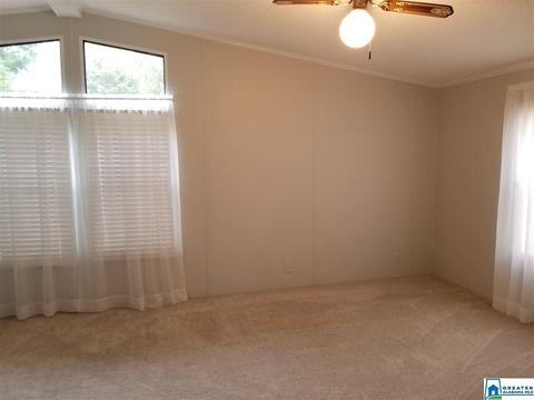 220 Steele Gap Rd, Steele, AL 35987 photo 9
