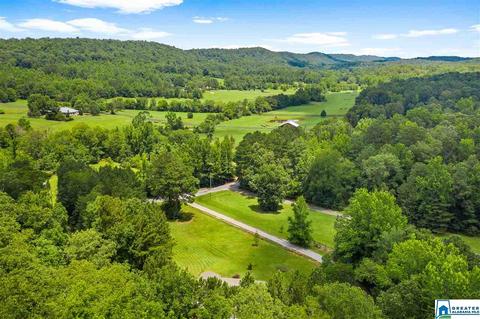 2098 Red Valley Rd, Remlap, AL 35133 photo 43