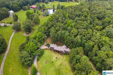 2098 Red Valley Rd, Remlap, AL 35133 photo 41
