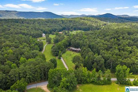 2098 Red Valley Rd, Remlap, AL 35133 photo 40