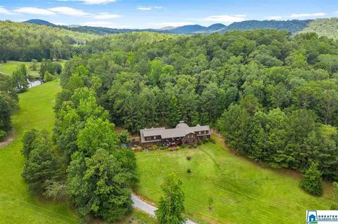 2098 Red Valley Rd, Remlap, AL 35133 photo 38