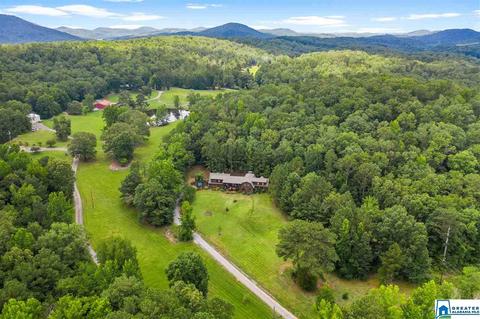 2098 Red Valley Rd, Remlap, AL 35133 photo 39