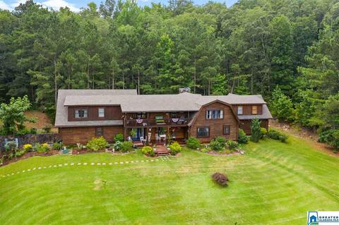 2098 Red Valley Rd, Remlap, AL 35133 photo 34