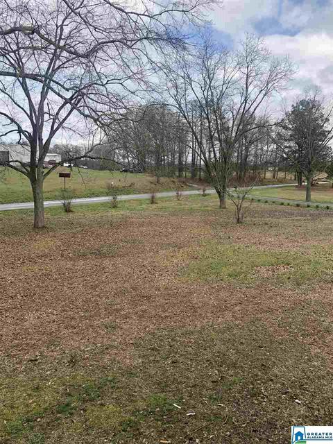 3363 County Road 81, Clanton, AL 35045 photo 25