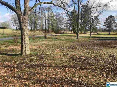3363 County Road 81, Clanton, AL 35045 photo 34