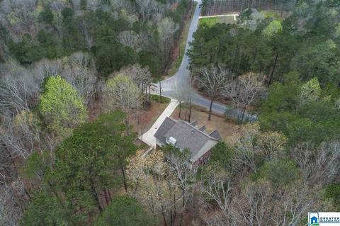 1 Echo Trl, Warrior, AL 35180 photo 38