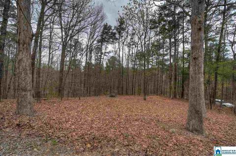 1 Echo Trl, Warrior, AL 35180 photo 25