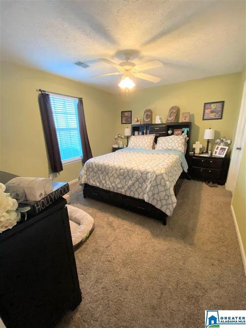 5280 Red Valley Rd, Remlap, AL 35133 photo 11