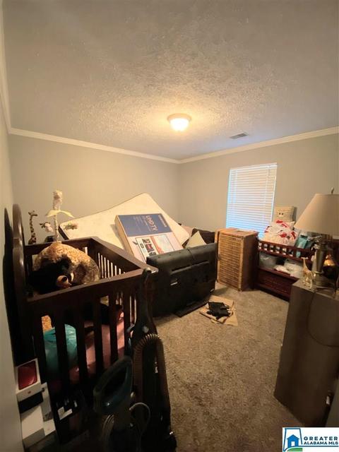 5280 Red Valley Rd, Remlap, AL 35133 photo 16