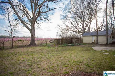 306 Meadowview Cir, Clanton, AL 35045 photo 29