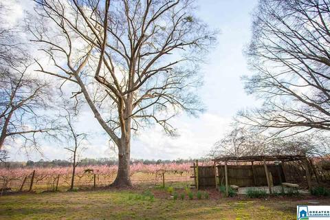 306 Meadowview Cir, Clanton, AL 35045 photo 27