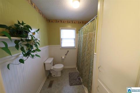 8 Pine Cir, Oneonta, AL 35121 photo 12