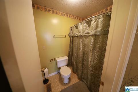 8 Pine Cir, Oneonta, AL 35121 photo 16
