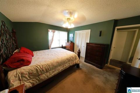 8 Pine Cir, Oneonta, AL 35121 photo 14