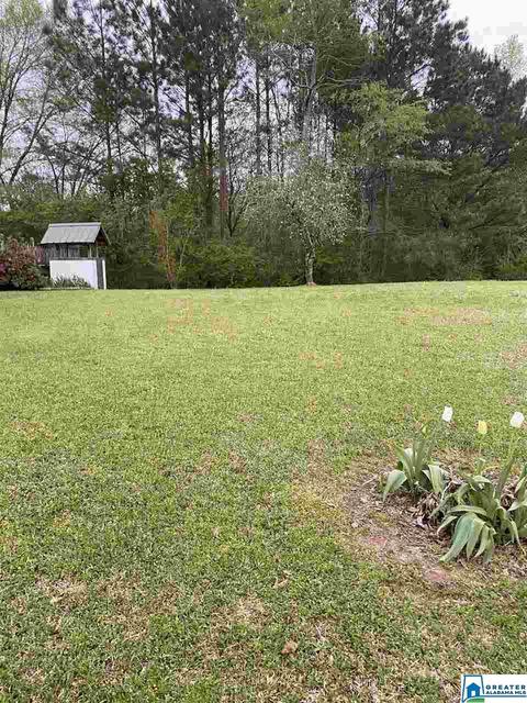 154 Mccay Rd, Locust Fork, AL 35097 photo 8