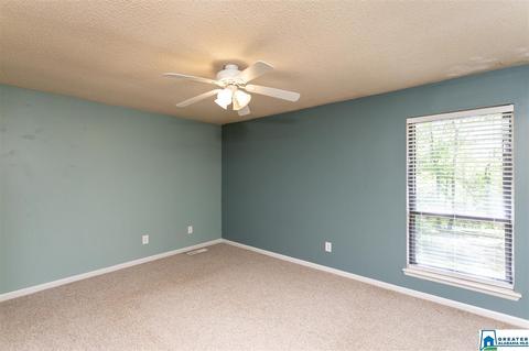4809 Vise Rd, Pinson, AL 35126 photo 18