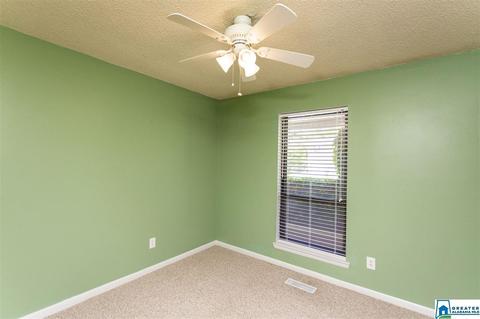 4809 Vise Rd, Pinson, AL 35126 photo 23