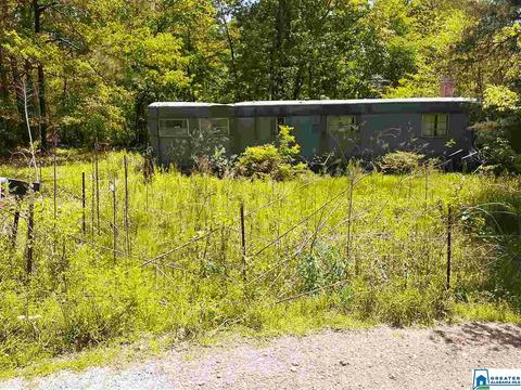 2000 Cedar Ln, Warrior, AL 35180 photo 1