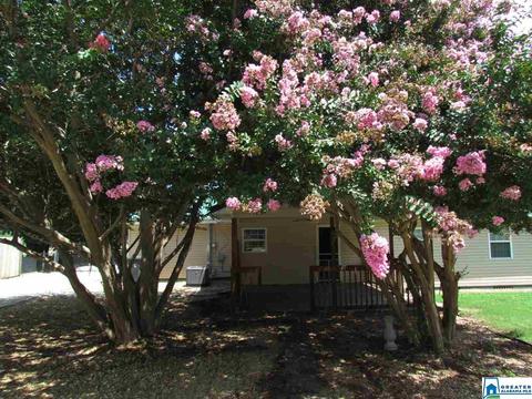 205 King St, Centre, AL 35960 photo 37