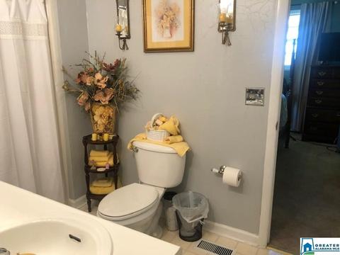 885 Rivercrest Dr, Vincent, AL 35178 photo 35