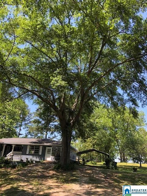 885 Rivercrest Dr, Vincent, AL 35178 photo 46