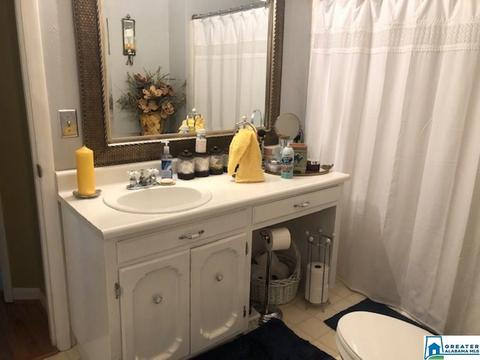 885 Rivercrest Dr, Vincent, AL 35178 photo 34