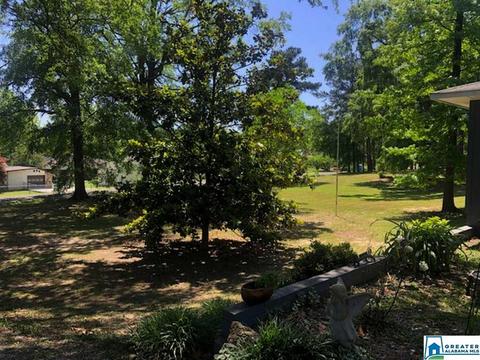885 Rivercrest Dr, Vincent, AL 35178 photo 42