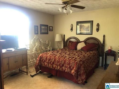 885 Rivercrest Dr, Vincent, AL 35178 photo 24