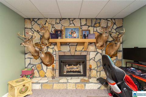 606 Janney Rd, Ohatchee, AL 36271 photo 26