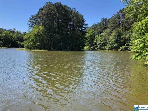 49 Satellite Dr, Alpine, AL 35014 photo 35