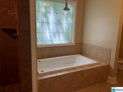 49 Satellite Dr, Alpine, AL 35014 photo 24