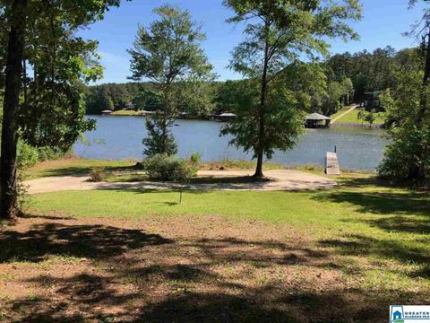 49 Satellite Dr, Alpine, AL 35014 photo 6