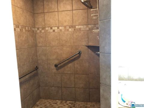 49 Satellite Dr, Alpine, AL 35014 photo 23