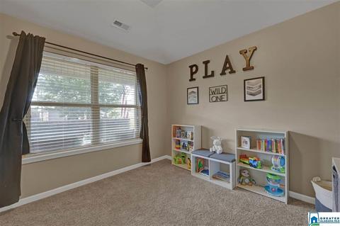9329 Hoffman Pl, Warrior, AL 35180 photo 18