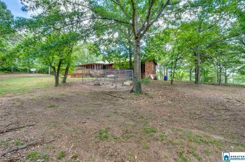 349 County Road 265, Clanton, AL 35046 photo 35