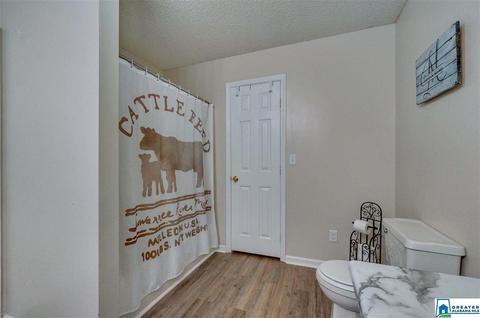 349 County Road 265, Clanton, AL 35046 photo 25
