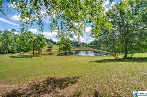 349 County Road 265, Clanton, AL 35046 photo 48