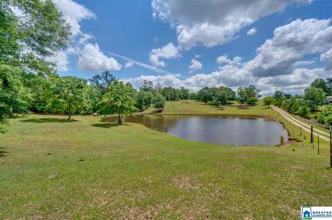 349 County Road 265, Clanton, AL 35046 photo 49