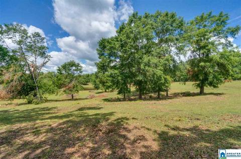 349 County Road 265, Clanton, AL 35046 photo 50