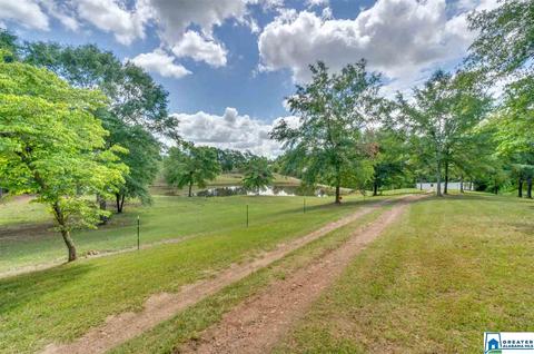 349 County Road 265, Clanton, AL 35046 photo 47