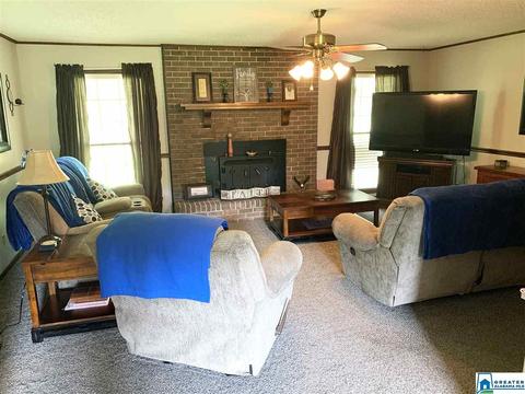 70 Christopher St, Steele, AL 35987 photo 10