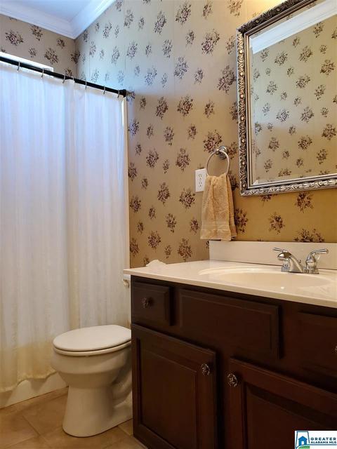 1591 Downs Rd, Mount Olive, AL 35117 photo 30
