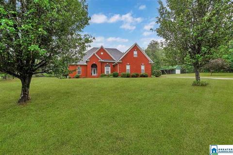 418 Chestnut Oak Ln, Remlap, AL 35133 photo 28