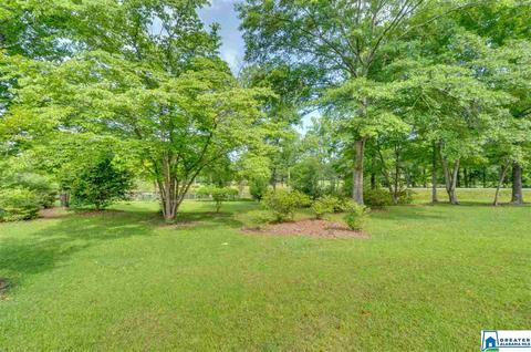 1403 Meadowood Dr, Clanton, AL 35045 photo 46