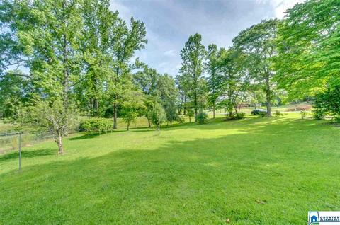 1403 Meadowood Dr, Clanton, AL 35045 photo 45